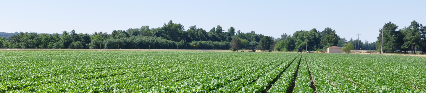 Agricultural Products Agricultural Products