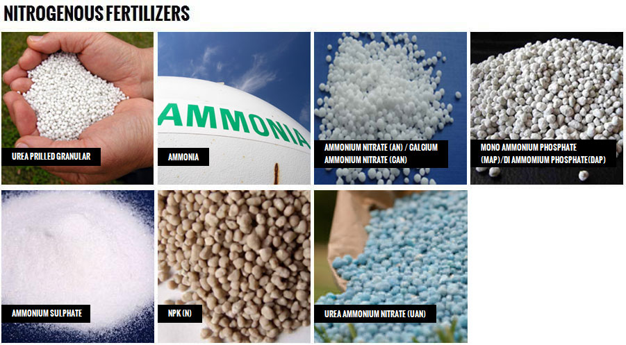 Nitrogenous Fertilizers
